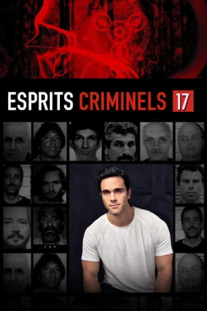  Esprits criminels - Saison 17 affiche 