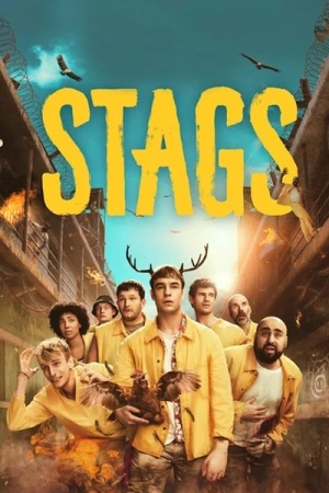  Stags - Saison 1 affiche 