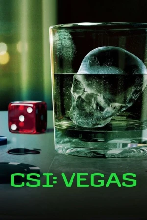  CSI: Vegas - Saison 3 affiche 