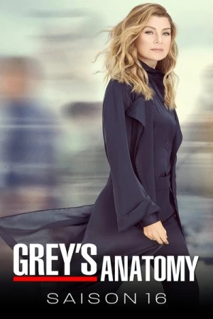  Grey's Anatomy - Saison 16 affiche 