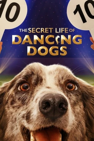  The Secret Life of Dancing Dogs - Saison 1 affiche 