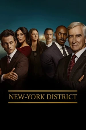  New York District / New York, police judiciaire - Saison 23 affiche 