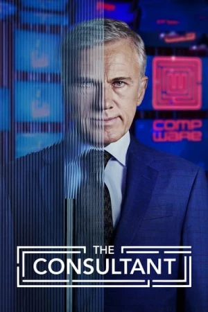  Le Consultant - Saison 1 affiche 